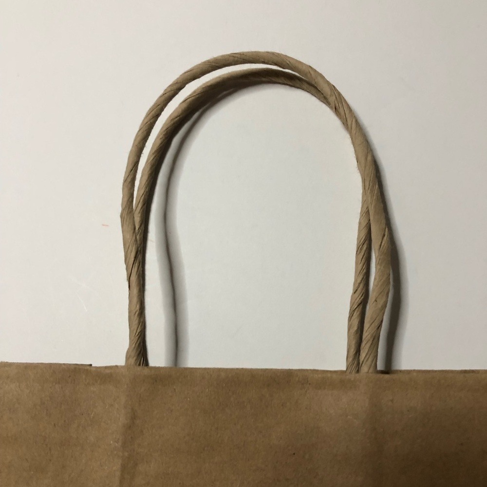 Coach Gift Bag View 6